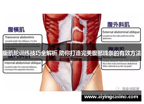 腹肌轮训练技巧全解析 助你打造完美腹部线条的有效方法