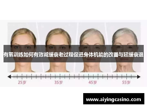 有氧训练如何有效减缓衰老过程促进身体机能的改善与延缓衰退